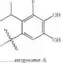 Fig. 369 - Cetp Inhibitors