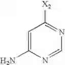 Fig. 2000 - Composition and antiviral of substituted azaindoleoxoacetic piperazine derivatives