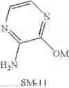 Fig. 545 - Composition and antiviral of substituted azaindoleoxoacetic piperazine derivatives