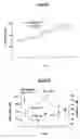Fig. 05 - Compositions comprising ornithine and phenylacetate or phenylbutyrate for treating hepatic encephalopathy
