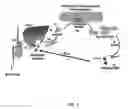 Fig. 02 - COMPOSITIONS AND METHODS TO ENHANCE REVERSE CHOLESTEROL TRANSPORT