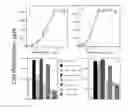 Fig. 01 - Methods and materials for cancer treatment