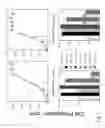 Fig. 02 - Methods and materials for cancer treatment