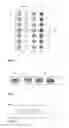 Fig. 02 - CONTROLLED SURFACE TOPOGRAPHY FOR ENHANCED PROTEIN CRYSTALLIZATION RATES