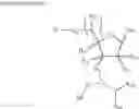 Fig. 08 - Amidites and Methods of Rna Synthesis