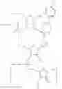 Fig. 28 - Amidites and Methods of Rna Synthesis