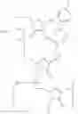 Fig. 32 - Amidites and Methods of Rna Synthesis