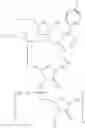 Fig. 50 - Amidites and Methods of Rna Synthesis