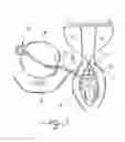 Fig. 04 - Adjustably compressive female incontinence device