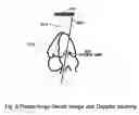 Fig. 09 - Ultrasound imaging system and method with offset alternate-mode line