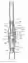 Fig. 01 - NEEDLELESS INJECTOR