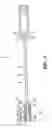 Fig. 08 - Needle shielding device