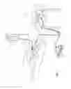 Fig. 02 - Bipolar electrosurgical clamp for removing and modifying tissue