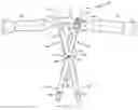 Fig. 01 - Surgical Instrument for Supplying a Counter-Torque When Securing a Spinal Prosthesis