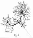 Fig. 08 - Method and Device for Determining a Route with Points of Interest