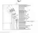 Fig. 08 - Field site data gathering and reporting system and method