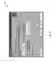 Fig. 10 - COMMISSION STATEMENT GENERATOR
