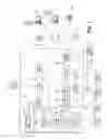 Fig. 02 - System and method for managing accounts payable and accounts receivable