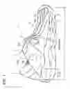Fig. 02 - Upper structure for a shoe