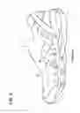 Fig. 06 - Upper structure for a shoe