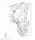 Fig. 09 - Upper structure for a shoe