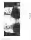 Fig. 09 - Composition for increasing soil fertility