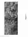 Fig. 22 - Composition for increasing soil fertility