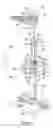 Fig. 04 - Telescopic table support