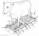Fig. 01 - ANIMAL FOOT TREATMENT SYSTEM