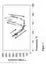 Fig. 02 - Well bore servicing fluids comprising thermally activated viscosification compounds and methods of using the same
