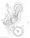 Fig. 02 - Motorcycle fuel tank
