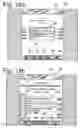 Fig. 19 - Pre-printed document marking system and apparatus