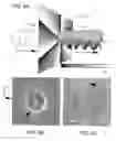Fig. 05 - Holographic microfabrication and characterization system for soft matter and biological systems