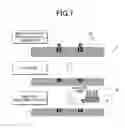 Fig. 08 - Standard reference component for calibration, fabrication method for the same, and scanning electron microscope using the same