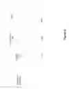 Fig. 04 - INTERCONNECT STRUCTURE WITH LINE RESISTANCE DISPERSION