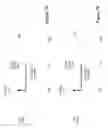 Fig. 09 - INTERCONNECT STRUCTURE WITH LINE RESISTANCE DISPERSION
