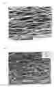 Fig. 04 - Process of preparing continuous filament composed of nanofibers