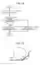 Fig. 09 - Sheet feeder, image forming apparatus, and sheet feeding method, utilizing sheet deformation prevention member