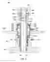 Fig. 07 - Progressive cavity pump (PCP) drive head stuffing box with split seal