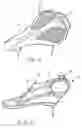 Fig. 04 - Chronometer and triathlon bicycle saddle construction