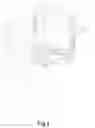 Fig. 05 - Chair having adjustable weight proportion accepting elements