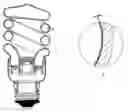 Fig. 01 - Fluorescent lamp with coating inside
