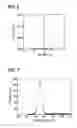 Fig. 04 - Quantum dot-dispersed light emitting device, and manufacturing method thereof