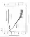 Fig. 08 - Methods of generating plasma, of etching an organic material film, of generating minus ions, of oxidation and nitriding