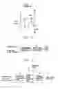 Fig. 02 - Pixel driving circuit of electro-luminescent display device and driving method thereof