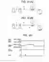 Fig. 43 - Ink-jet recording apparatus and recording method therefor