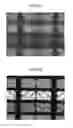 Fig. 09 - DISPLAY DEVICE