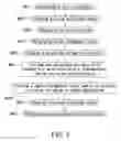 Fig. 09 - Manufacturing method for a transflective liquid crystal display device