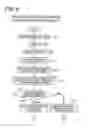 Fig. 07 - Image forming apparatus with detecting devices for image positioning on reversed sheet