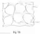 Fig. 06 - Superparamagnetic platelets field sensing devices